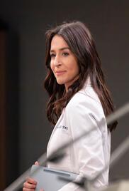 Greys Anatomy
