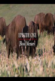 The American Buffalo